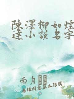 陈泽柳如烟季博达小说名字