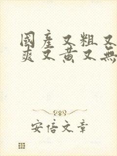 国产又粗又猛又爽又黄又无遮挡