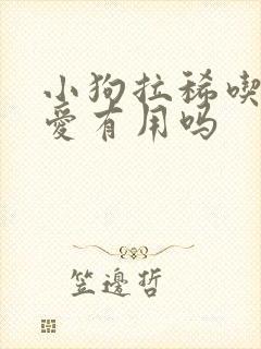 小狗拉稀吃妈咪爱有用吗