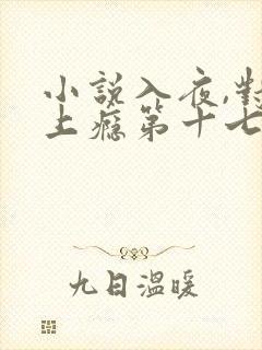 小说入夜,对她上瘾第十七章