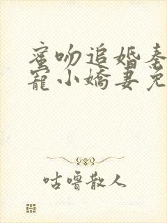 蜜吻追婚秦爷溺宠小娇妻免费阅读