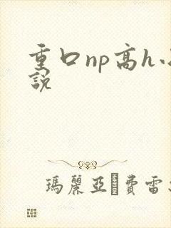 重口np高h小说