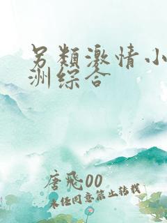 另类激情小说亚洲综合