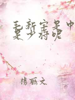 毛新宇是中将还是少将呢