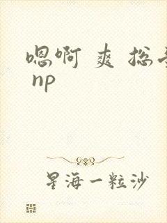 嗯啊 爽 总受 np