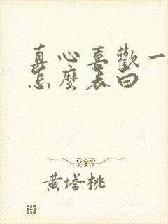 真心喜欢一个人怎么表白