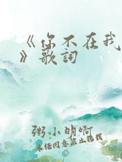 《你不在我不在》歌词