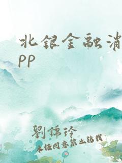 北银金融消费app