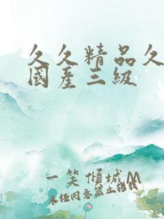 久久精品久久久国产三级