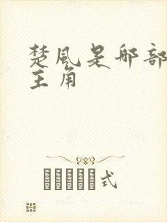 楚风是哪部小说主角