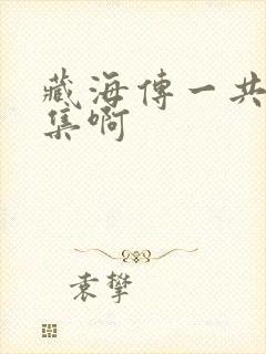 藏海传一共多少集啊