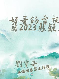 好看的电视剧推荐2023悬疑剧