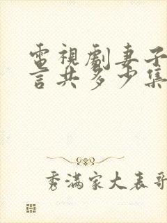 电视剧妻子的谎言共多少集