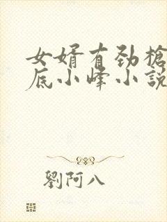 女婿有劲枪枪到底小峰小说