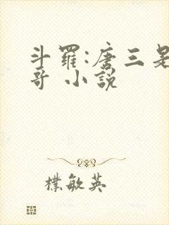 斗罗:唐三是我哥 小说