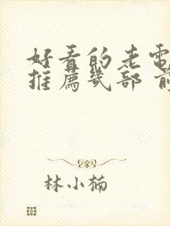 好看的老电视剧推荐几部 前十名