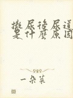 撒尿后尿道刺痛是什么原因