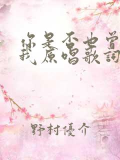 你是否也曾想过我原唱歌词