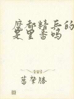 魔都精兵的奴隶是里番吗