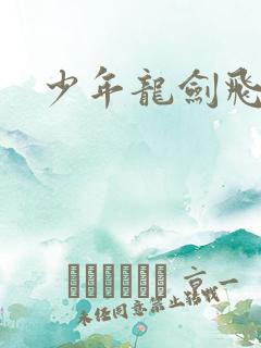 少年龙剑飞小说