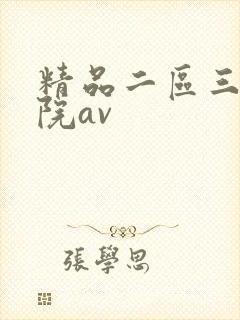 精品二区三区影院av