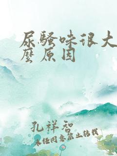 尿骚味很大是什么原因