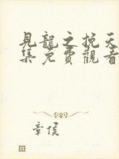 见龙之挽天倾全集免费观看