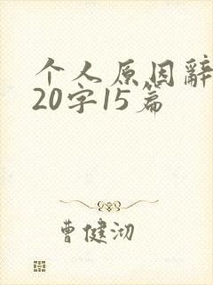 个人原因辞职信20字15篇