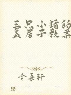 三只小猪的故事盖房子教案大班