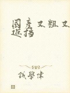 国产又粗又黄无遮挡