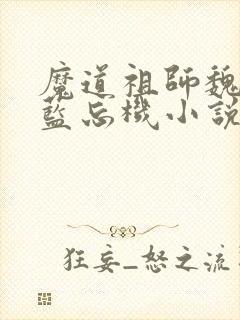 魔道祖师魏无羡蓝忘机小说听书小说