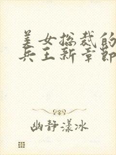 美女总裁的贴身兵王新章节