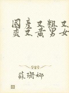 国产又粗又猛又爽又黄男女