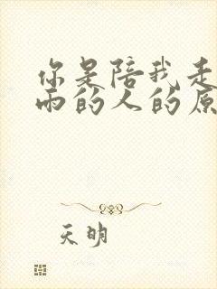 你是陪我走过风雨的人的原唱