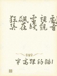 狂飙电视剧40集在线观看免费播放