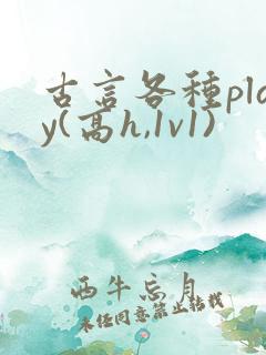 古言各种play(高h,1v1)