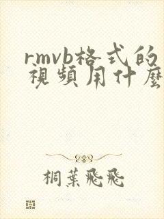 rmvb格式的视频用什么播放器