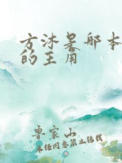 方沐是哪本小说的主角