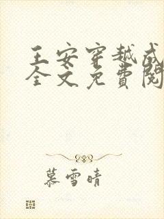 王安穿越成太子全文免费阅读