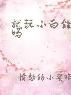 试玩小白能赚钱吗