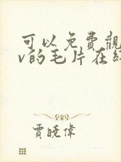 可以免费观看av的毛片在线观看