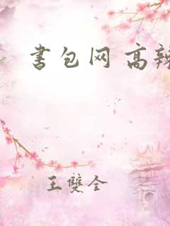 书包网 高辣文
