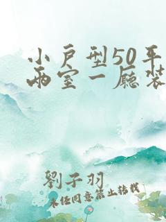 小户型50平米两室一厅装修设计