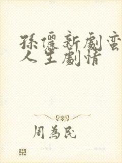 孙俪新剧蛮好的人生剧情