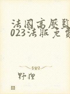 法国高压监狱2023法版免费