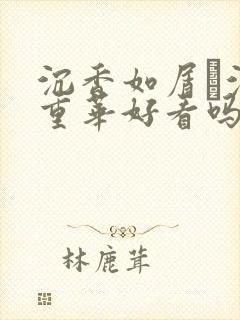 沉香如屑·沉香重华好看吗