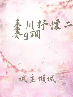 秦川抒怀二胡伴奏g调