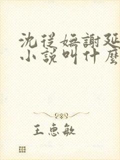 沈从妩谢延东的小说叫什么名字