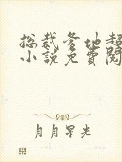 总裁爹地超给力小说免费阅读全文