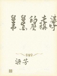 舅舅的老婆的弟弟怎么称呼